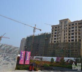 正东中央公馆新闻爆料视频  第2张